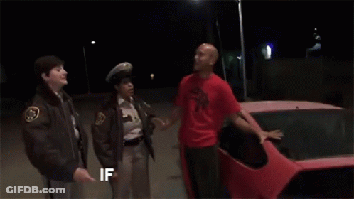 Reno911 Wasnt Me GIF