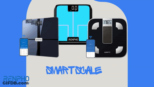 Renpho Smart Scale On Blue Background GIF