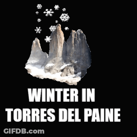 Rental Natales Rentalnatales GIF