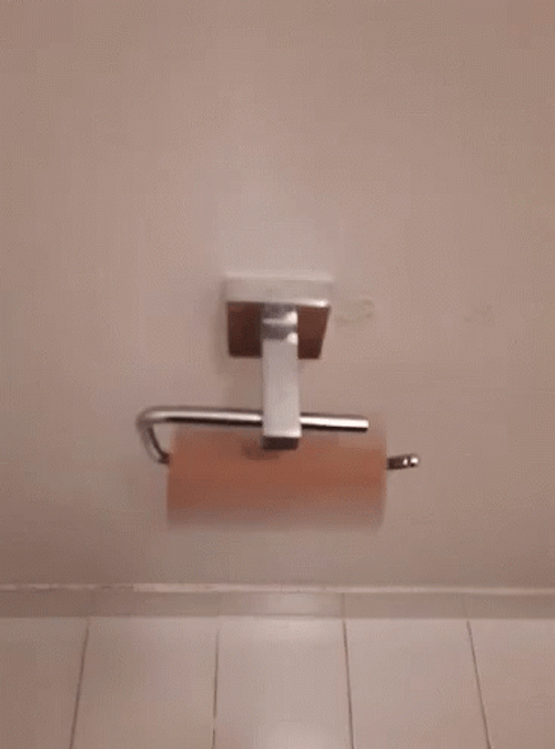 Replace The Empty Toilet Paper GIF