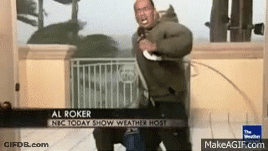 Reporter Falling Down Hurricane Meme GIF