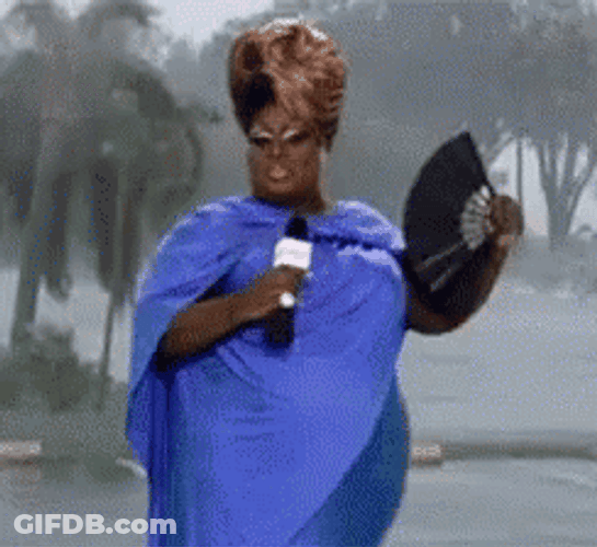 Reporter Fanning Herself Hurricane Meme GIF