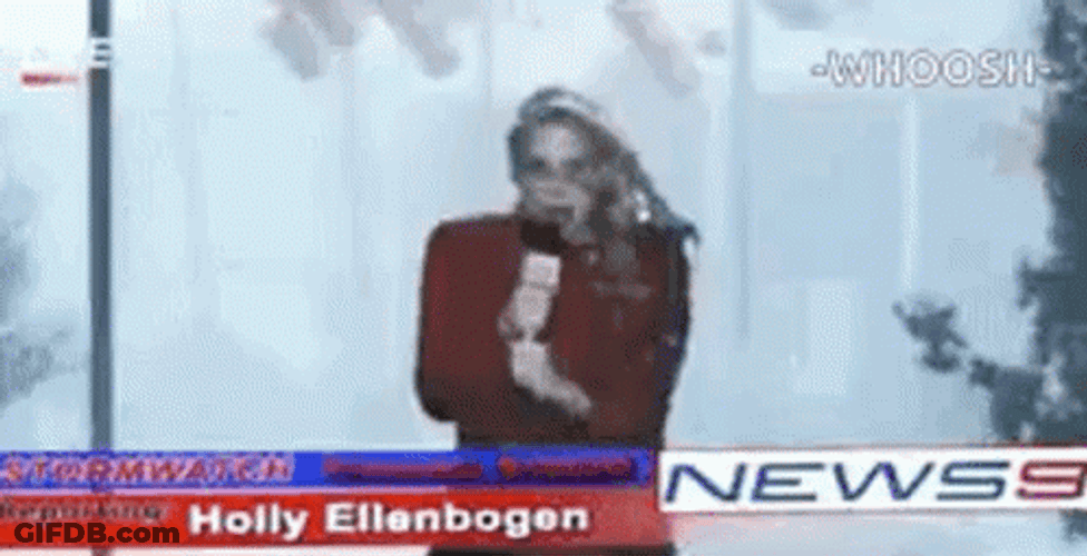 Reporter Getting Hit By Stop Sign Bomb Cyclone GIF