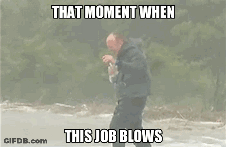 Reporter Inside Hurricane GIF