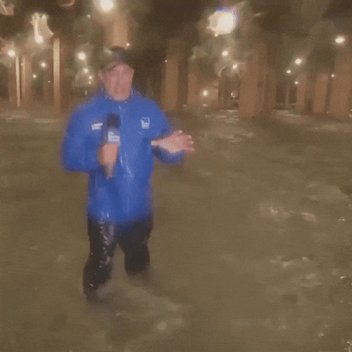 Reporter There Goes The Hat Hurricane Meme GIF