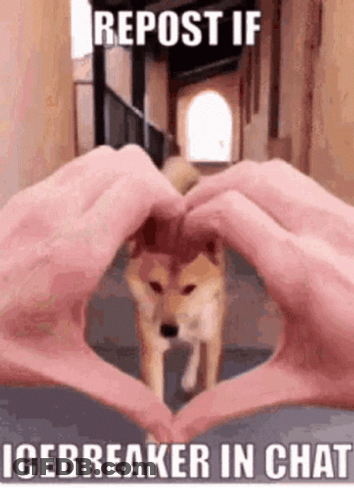Repost Icebreaker In Chat GIF
