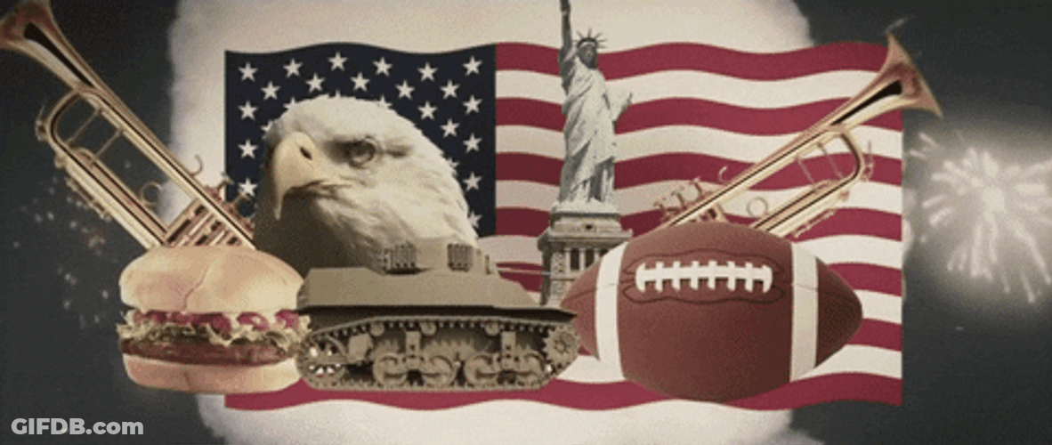 Representation Of America Murica GIF