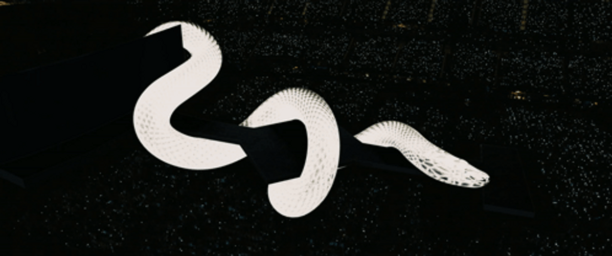 Reputation Snake Clinging And Crawling GIF