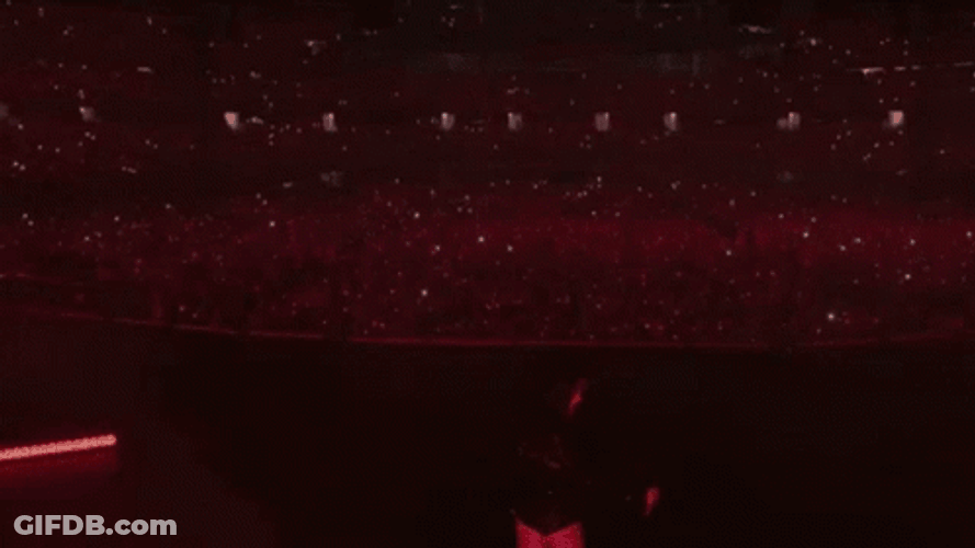 Reputation Tour Taylor Highights GIF