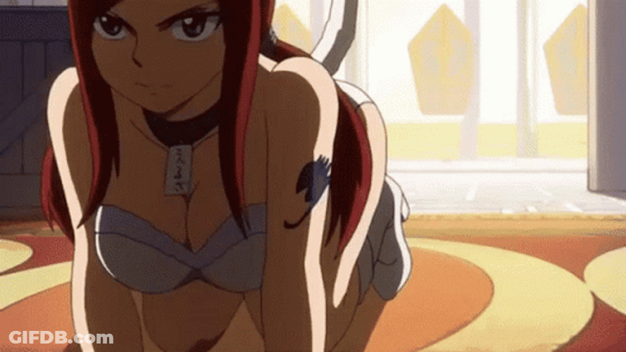 Requip Erza Scarlet Cat Outfit GIF