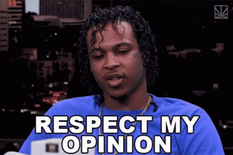 Respect My Opinion Thats Like Your Opinion Man GIF