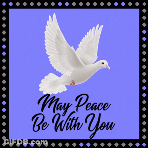 Rest In Peace May Peace Be With You Dove GIF