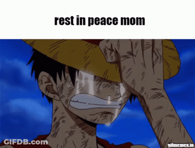 Rest In Peace Mom Luffy Crying RIP GIF