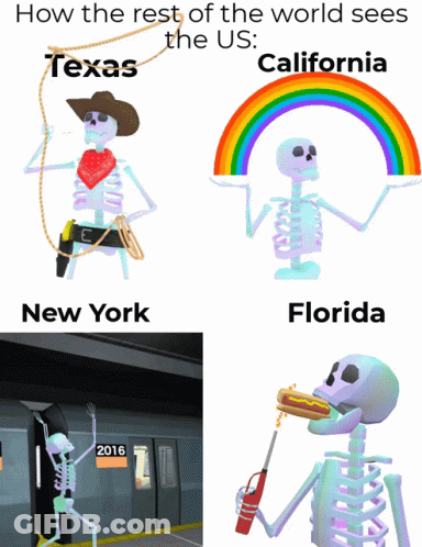 Rest Of World Sees Texas California New York Florida Skeletons GIF