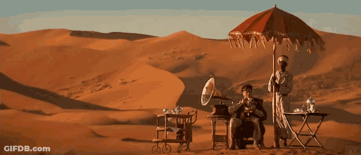 Retirement Desert GIF