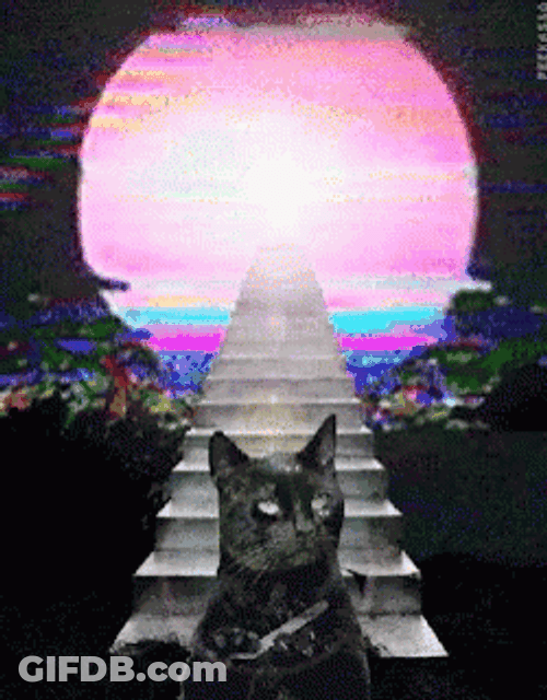 Retro Wave Cat Nail File Meme GIF