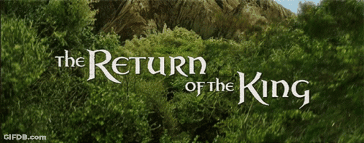 Return Of The King GIF