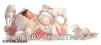 Revelation 10 9 Bible Verse On Red Background GIF
