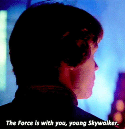 Revenge Of The 5Th Young Skywalker GIF