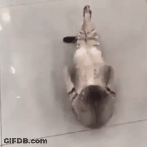Reverse Crunch GIF