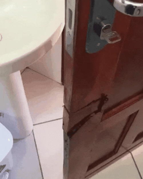 Revolving Door Break Toilet Sink GIF