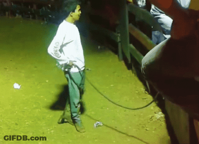 Revolving Door Slam Bull GIF