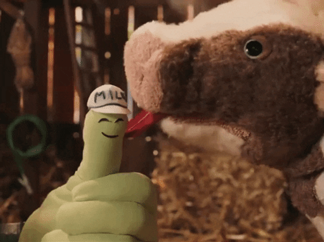 Rex Orange County Lick GIF