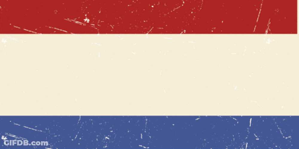Rfk Jr For President GIF