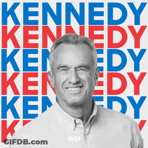 Rfk Kennedy Campaign GIF
