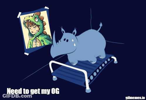 Rhino On Treadmill Need To Get My OG GIF