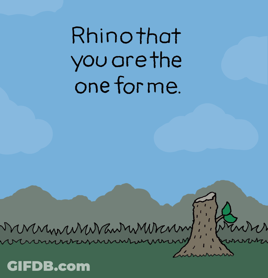 Rhino With Chippy The Dog GIF
