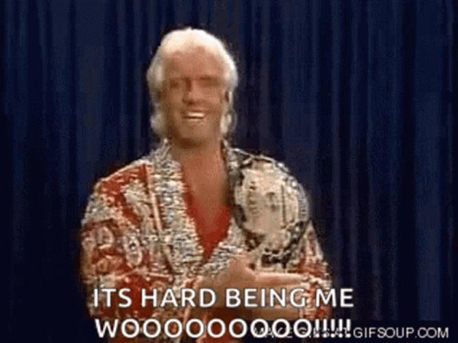 Ric Flair Champion GIF