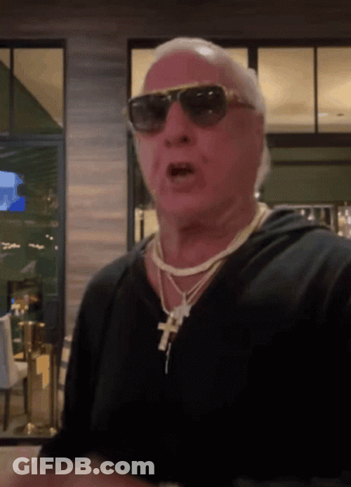 Ric Flair Enthusiastic Wooo GIF