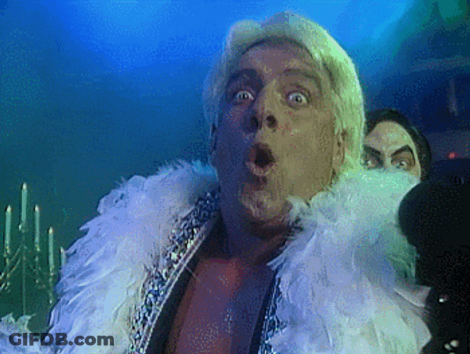 Ric Flair Intense Excitement GIF