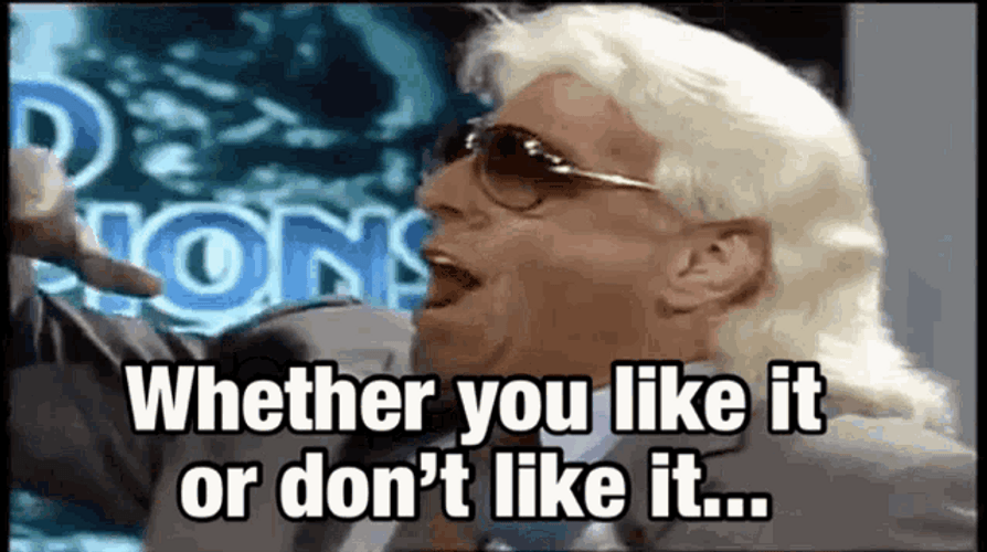 Ric Flair Learn To Love It GIF