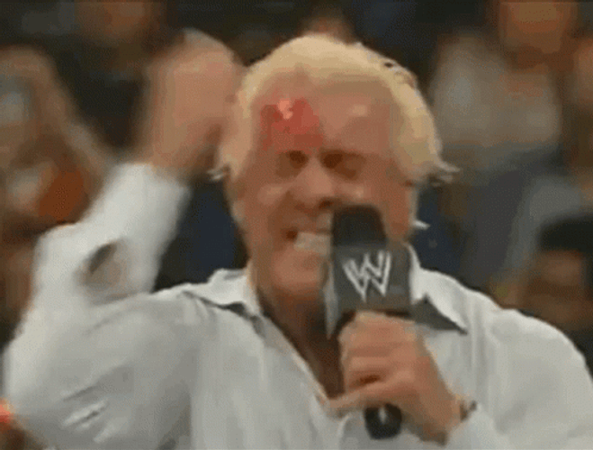 Ric Flair Punching Face GIF