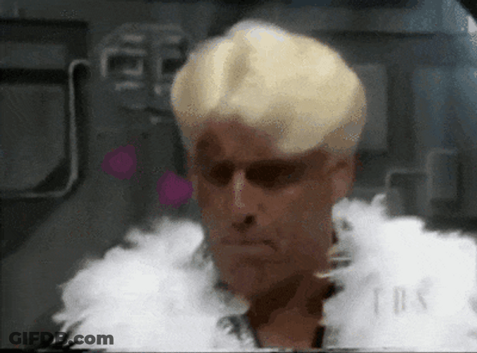 Ric Flair Turn Around GIF