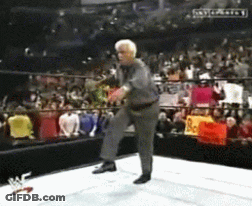 Ric Flair Woo Wwe GIF
