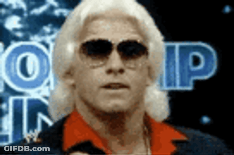Ric Flair Woo You're Talking To The Rolex GIF