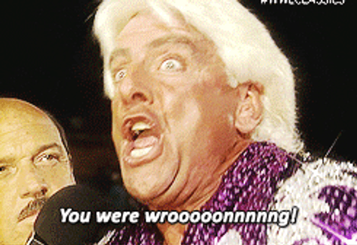 Ric Flair You Were Wrong GIF