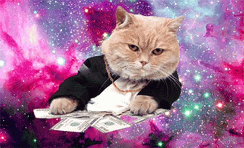Rich Cat With Funny Money GIF