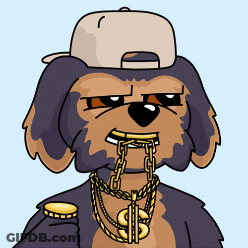 Rich Dog Coin Flip GIF