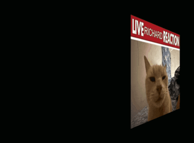 Richard Live Richard Reaction GIF