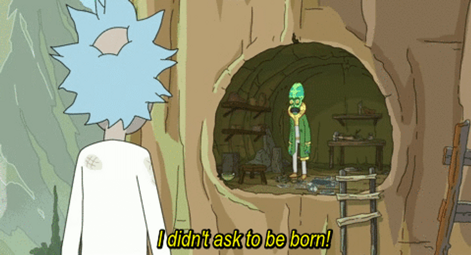 Rick And Morty Ask To Born GIF
