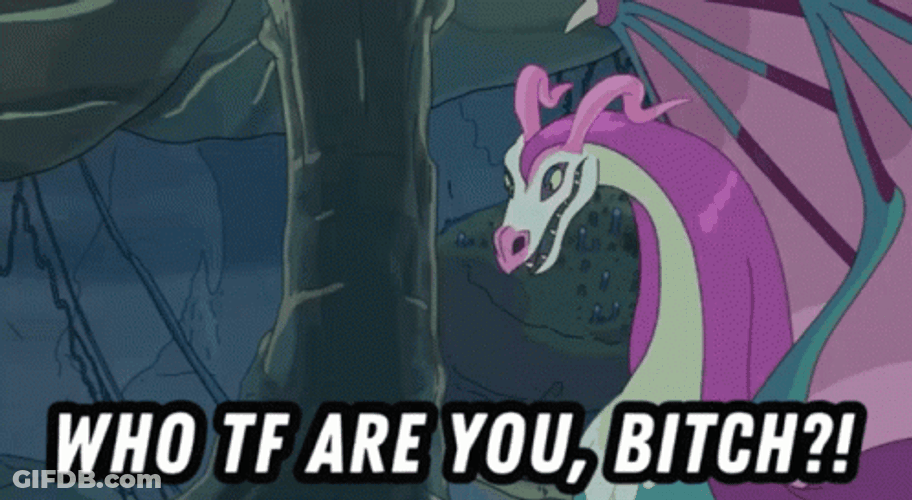 Rick And Morty Debra Dragon Who Tf GIF