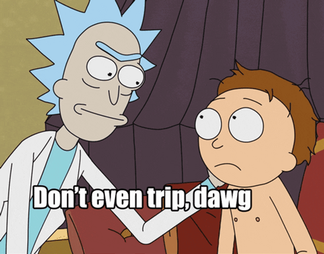 Rick And Morty Don't Trip Dawg GIF