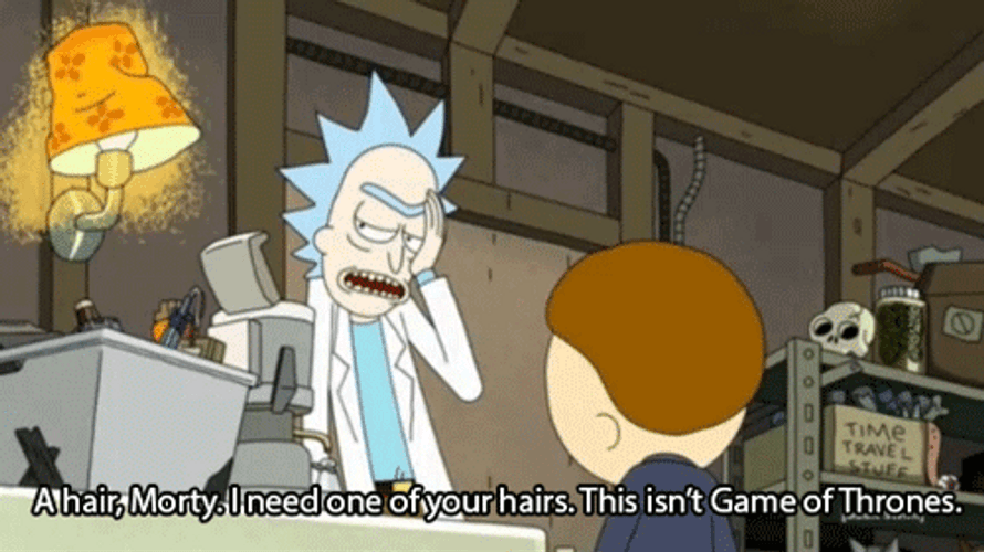 Rick And Morty Game Of Thrones GIF
