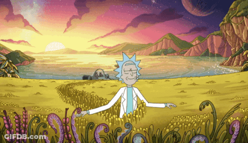 Rick And Morty In Field At Sunset GIF