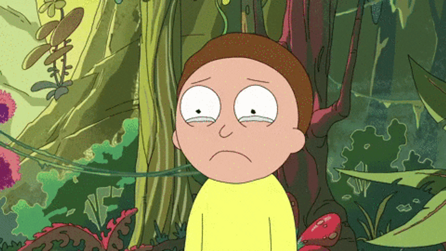 Rick And Morty Sad Morty Smith GIF