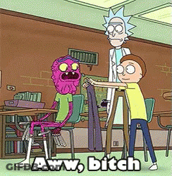 Rick And Morty Saying Aww Bitch In Classroom GIF